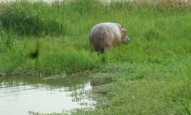 Uganda Lake
