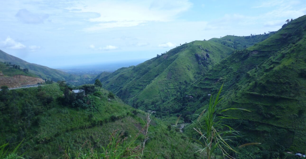 5 Days of Wildlife and Chimpanzee Tracking in Kibale National Park